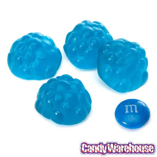 Albanese Blue Raspberry Gummy Berries Candy: 5LB Bag - Image 2