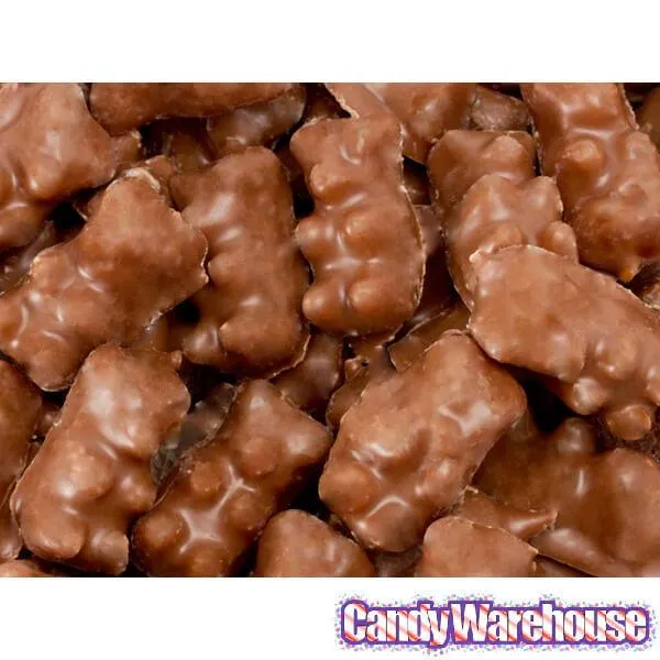 Albanese Milk Chocolate Covered Gummy Bears: 10LB Case - Image 4