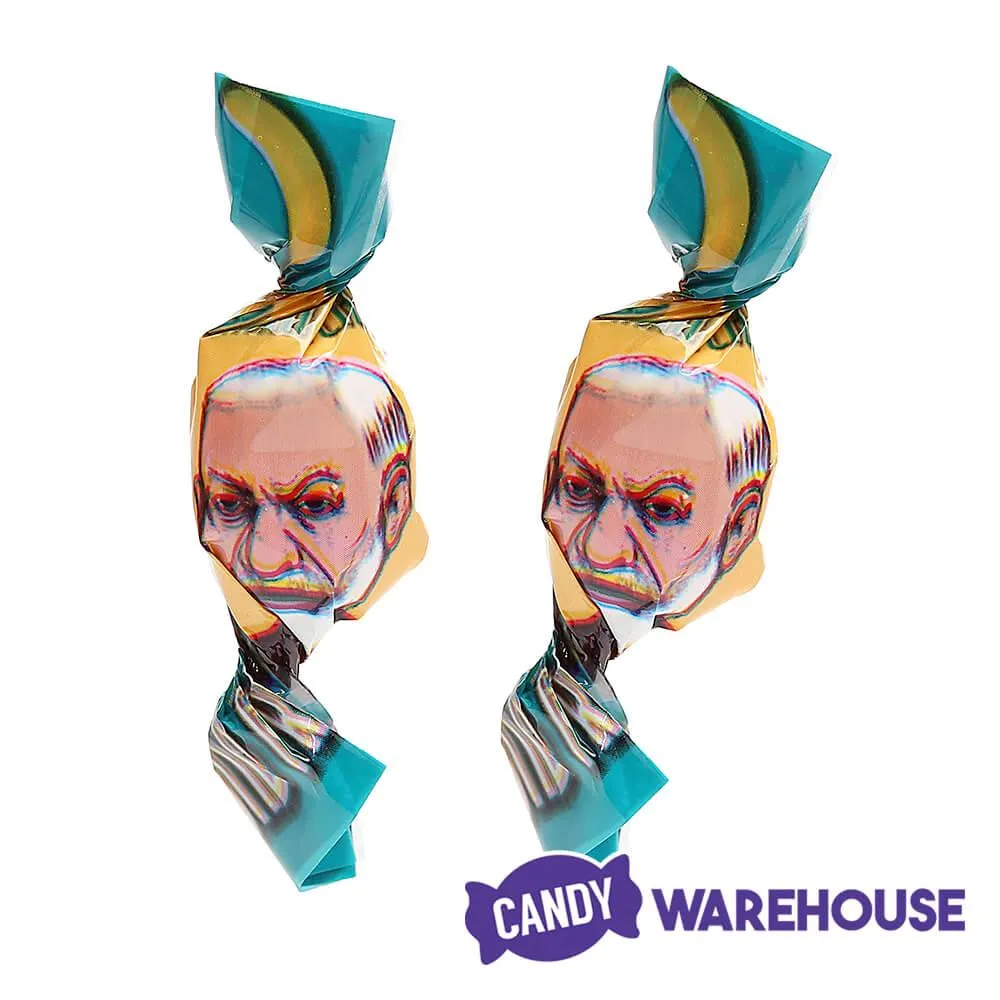 Archie McPhee Sigmund Freud Hard Candy Book - Image 4