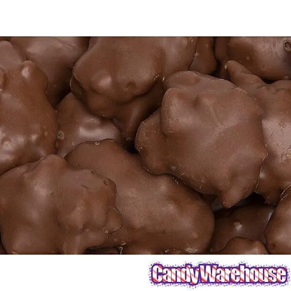 Asher's Milk Chocolate Pecan Caramel Patties: 5LB Box - Image 4