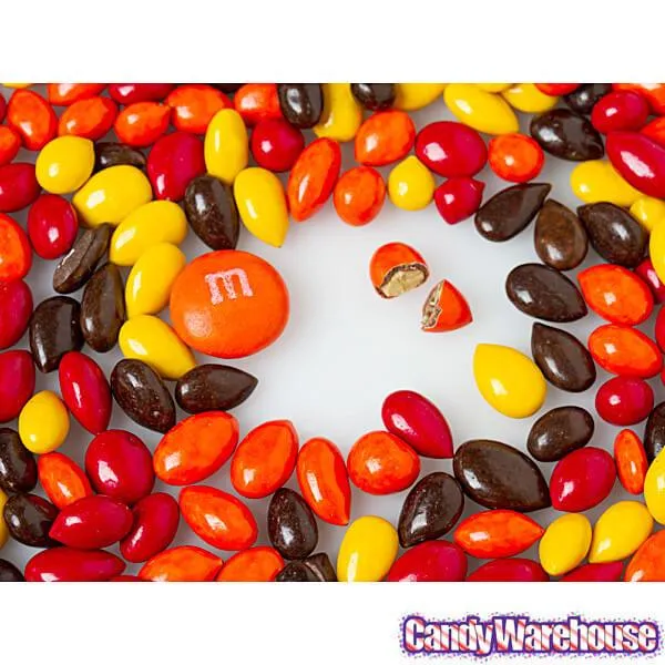 Sunbursts Chocolate Sunflower Seeds - Autumn Colors Assortment: 1LB Bag - Image 3