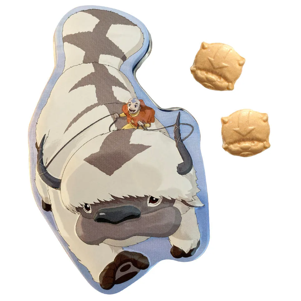 Avatar Appa Aang Candy Tin: 12-Piece Display - Image 3