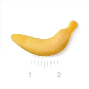 Big Gummy Banana Candy: 6.6LB Bag - Image 6