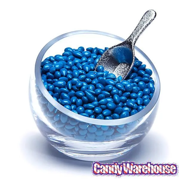 Sunbursts Chocolate Sunflower Seeds - Blue: 1LB Bag - Image 2