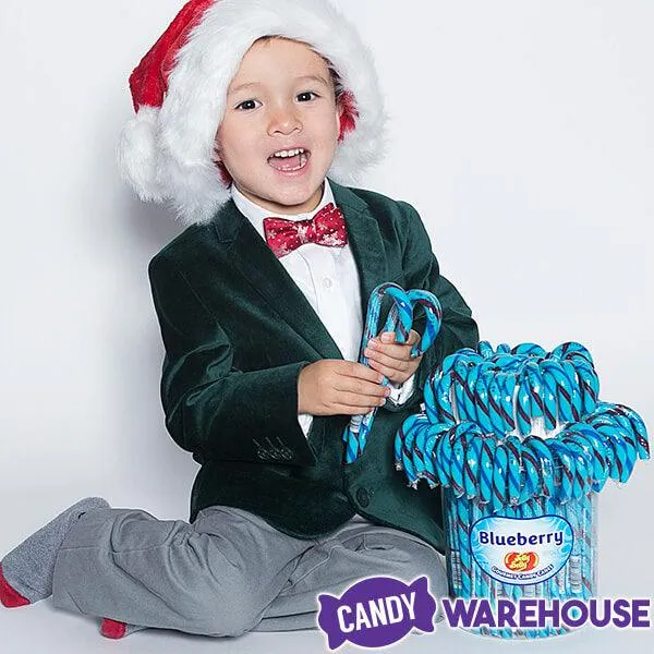 Jelly Belly Candy Canes - Blueberry: 80-Piece Bucket - Image 3