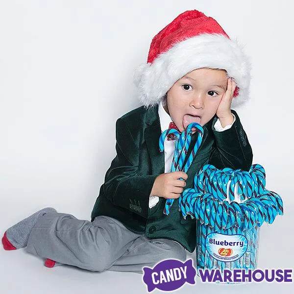 Jelly Belly Candy Canes - Blueberry: 80-Piece Bucket - Image 4