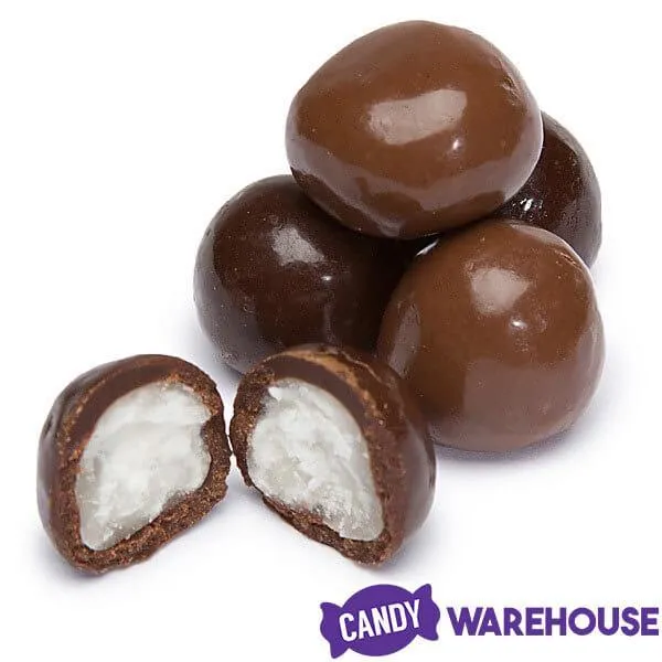 Brach's Chocolate Bridge Mix Candy: 8-Ounce Bag - Image 3