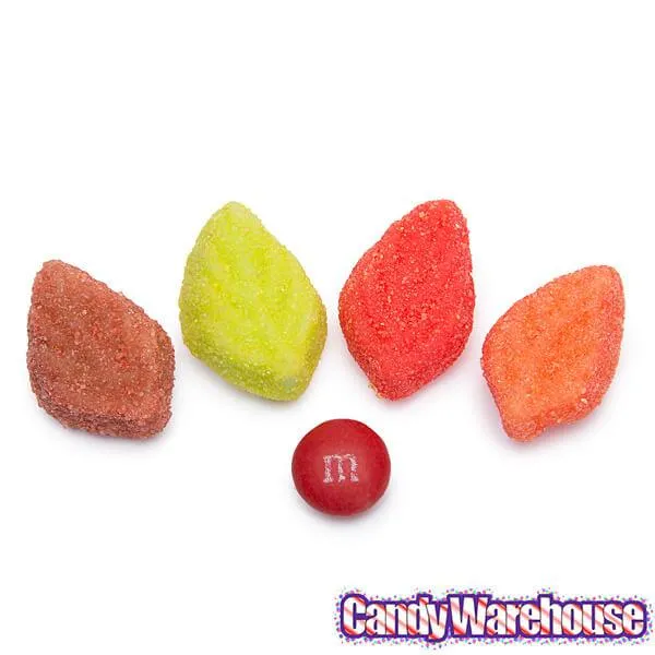 Brach's Autumn Jelly Leaves: 11-Ounce Bag - Image 2