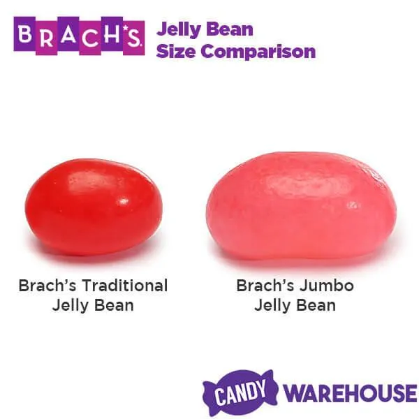 Brach's Traditional Jelly Bird Eggs Candy: 30-Ounce Bag - Image 3