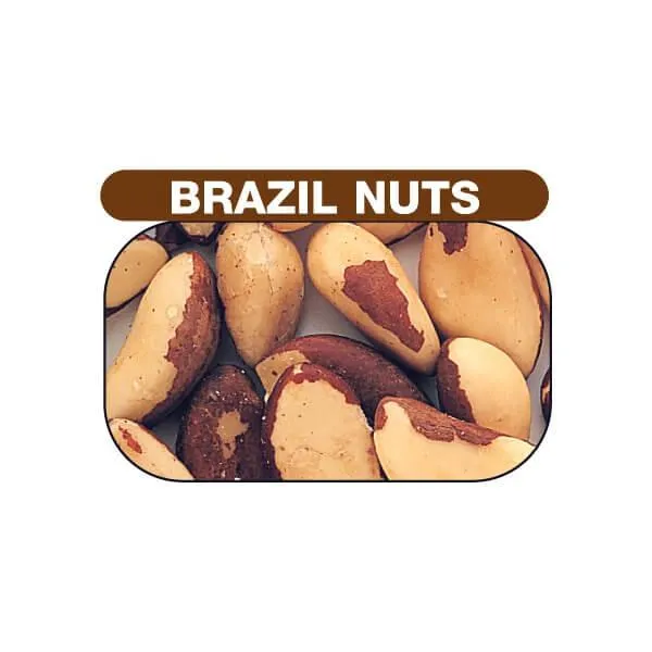 Brazil Nuts Unblanched Medium: 11LB Bag - Image 2