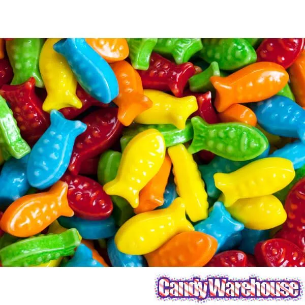 Candy Guppies Fish: 10LB Case - Image 4