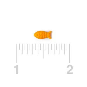 Candy Guppies Fish: 10LB Case - Image 5