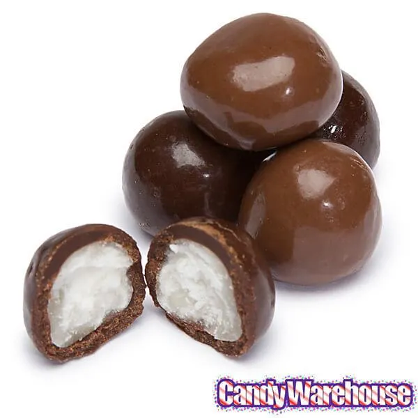 Chocolate Bridge Mix Candy: 10LB Case - Image 3