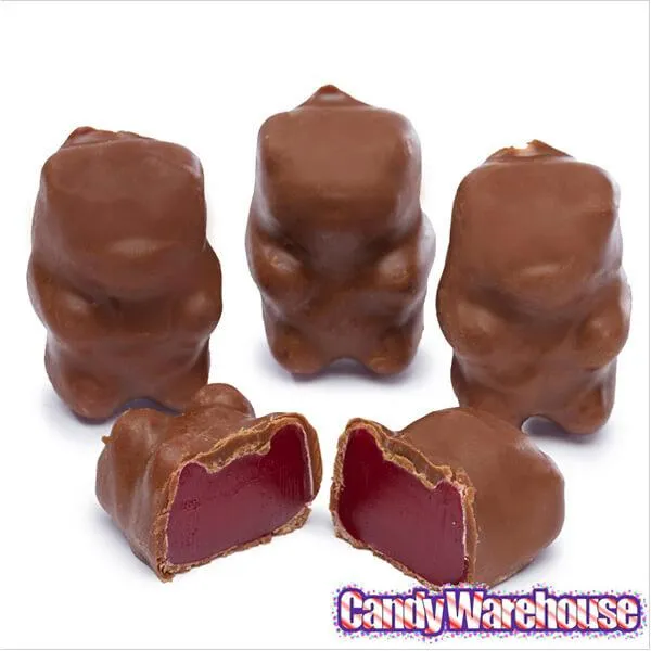 Chocolate Covered Cinnamon Bears: 14-Ounce Bag - Image 4