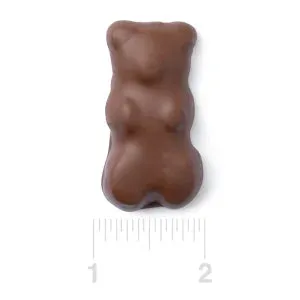 Chocolate Covered Jumbo Gummy Bears: 5LB Box - Image 5