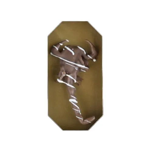 Chocolate Covered Scorpions: 24-Piece Case - Image 2