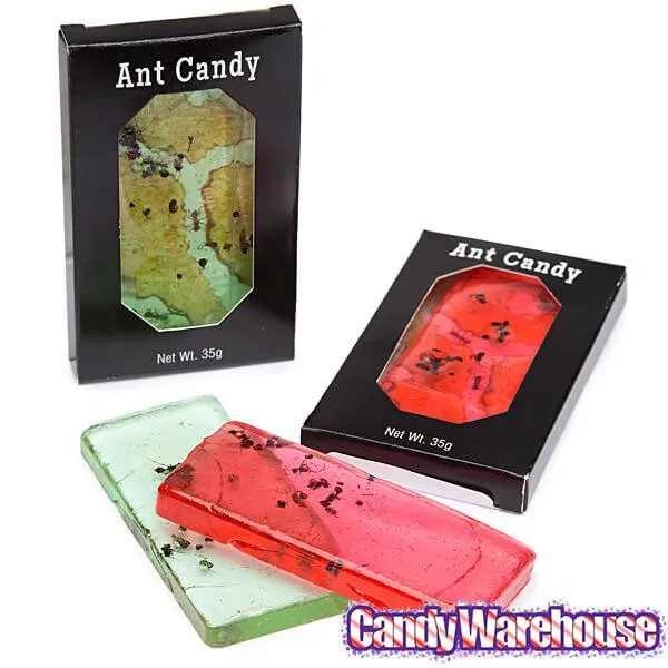 Edible Ant Farm Candy Packs: 24-Piece Box - Image 2