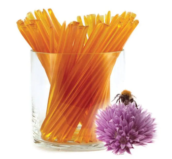 GloryBee Honey Sticks: 100-Piece Box