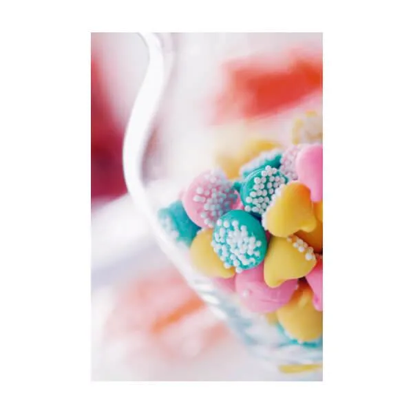 Guittard Petite Smooth & Melty Nonpareil Mint Chocolate Chips: 5LB Bag - Image 5