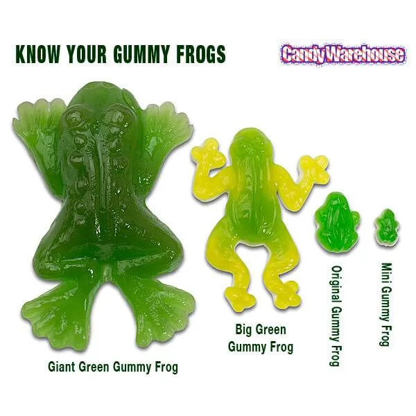 Haribo Gummy Frogs Candy: 3.75LB Box - Image 5