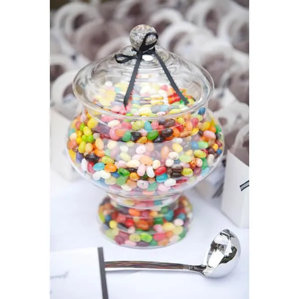 Jelly Belly 49 Flavors Jelly Beans: 10LB Case - Image 2