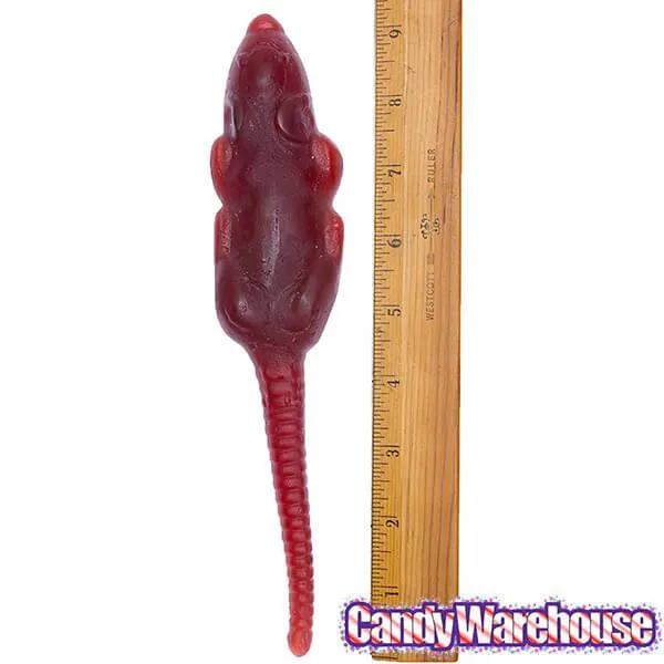 Jelly Belly Pet Rats Gummy Packs: 12-Piece Box - Image 2