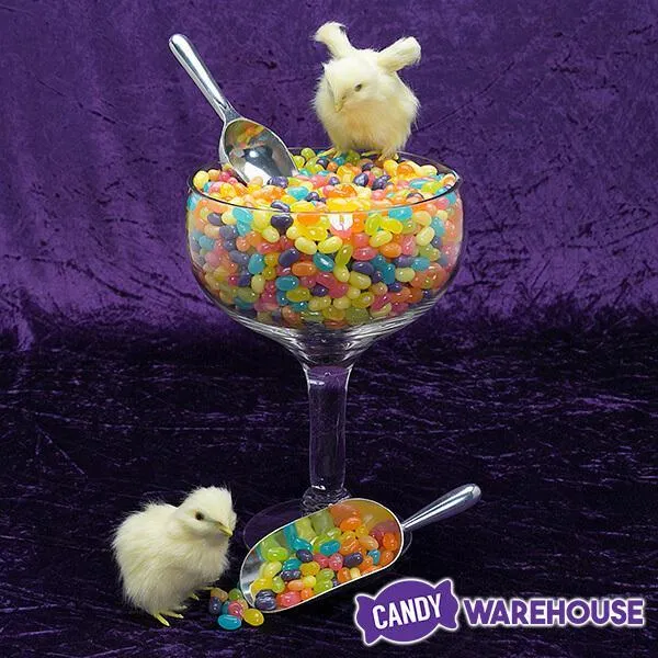 Jelly Belly Spring Mix: 10LB Case - Image 2