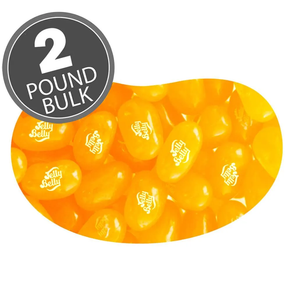 Jelly Belly Sunkist Orange: 2LB Bag - Image 2