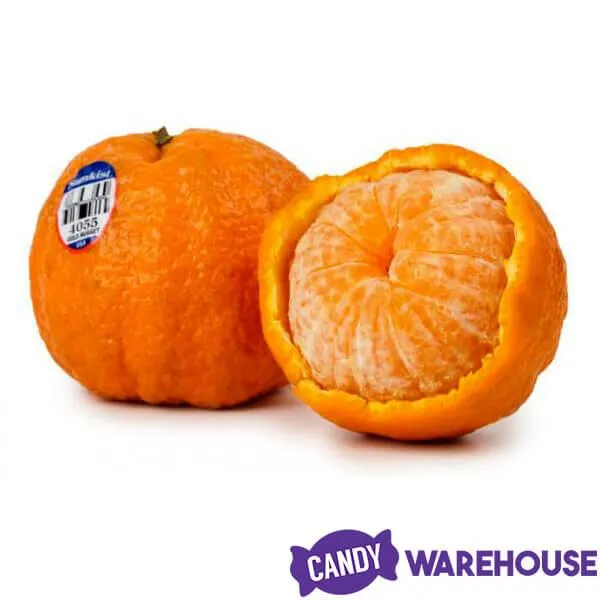 Jelly Belly Sunkist Tangerine: 2LB Bag - Image 6