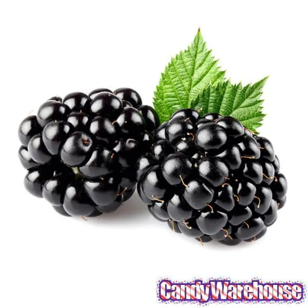 Jelly Belly Wild Blackberry: 10LB Case - Image 3