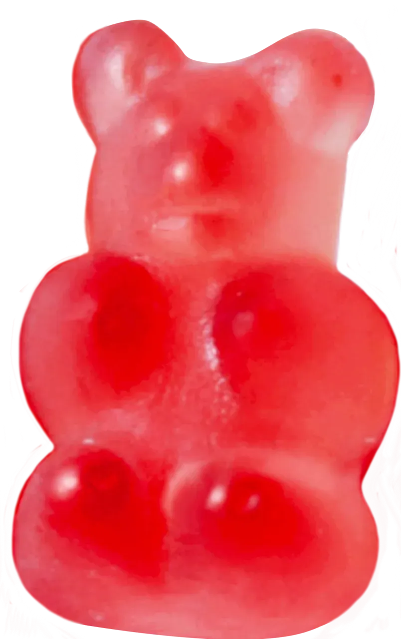 Lady May Sweets Vegan Gourmet Tart Cherry Gummi Teddies - Image 3