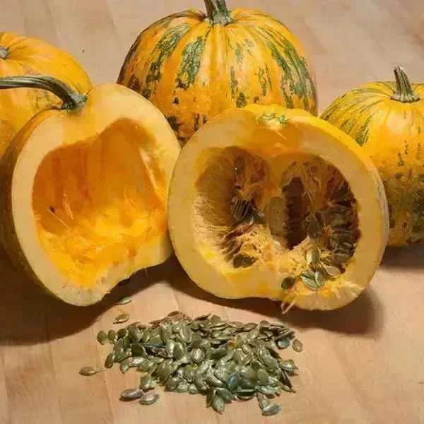 Lark Ellen Farm Sprouted Styrian Pumpkin Seeds. Organic - Image 3
