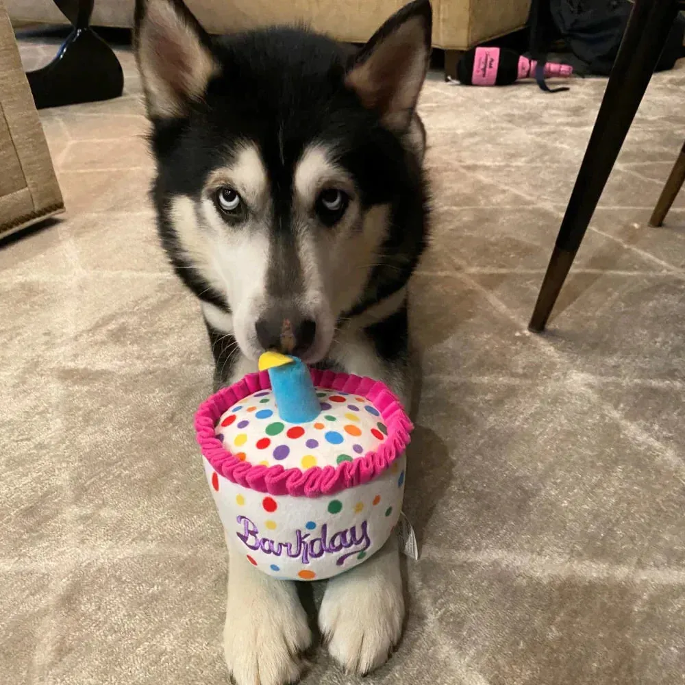 Lulubelle's Power Plush Happy Barkday Cake Dog Toy: Large - Image 2