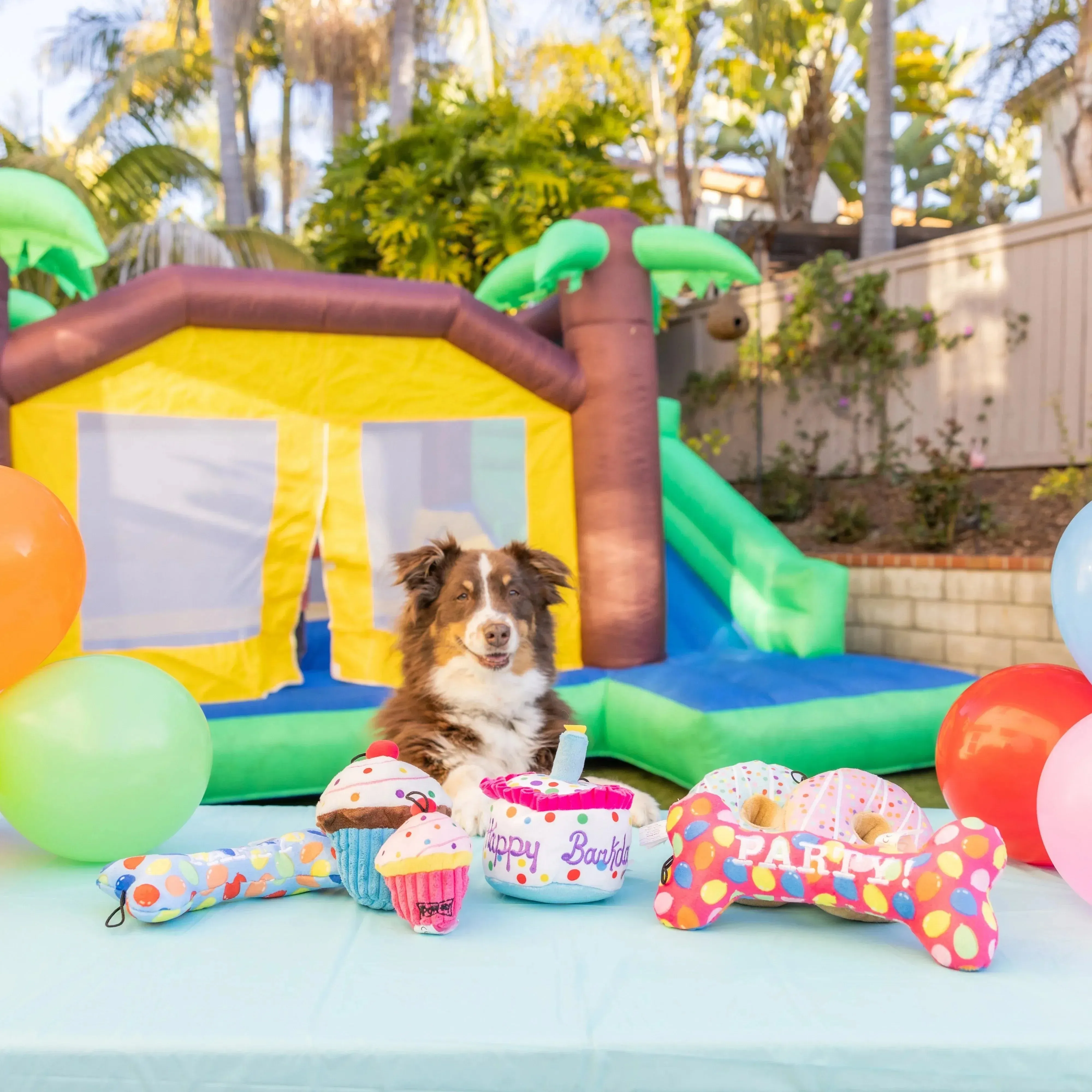 Lulubelle's Power Plush Happy Barkday Cake Dog Toy: Large - Image 3