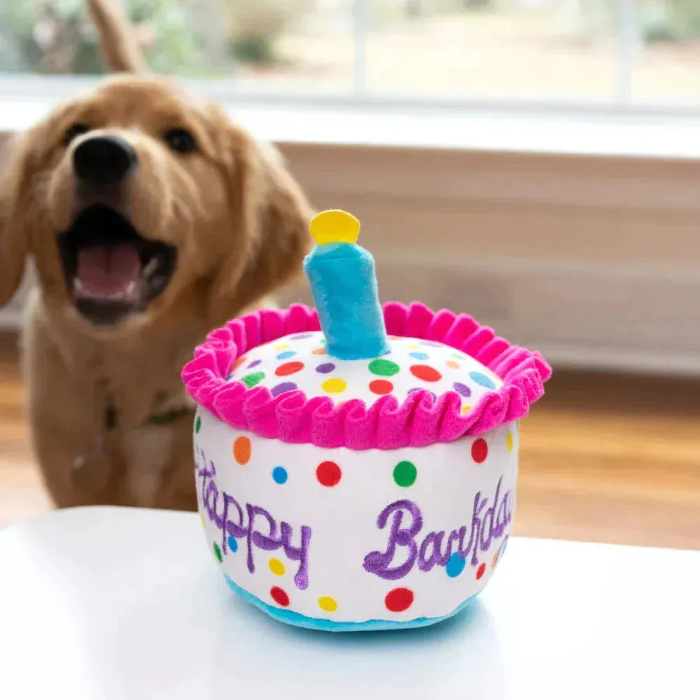 Lulubelle's Power Plush Happy Barkday Cake Dog Toy: Small - Image 2