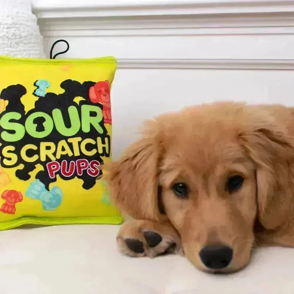 Lulubelle's Power Plush Sour Scratch Pups Dog Toy - Image 3