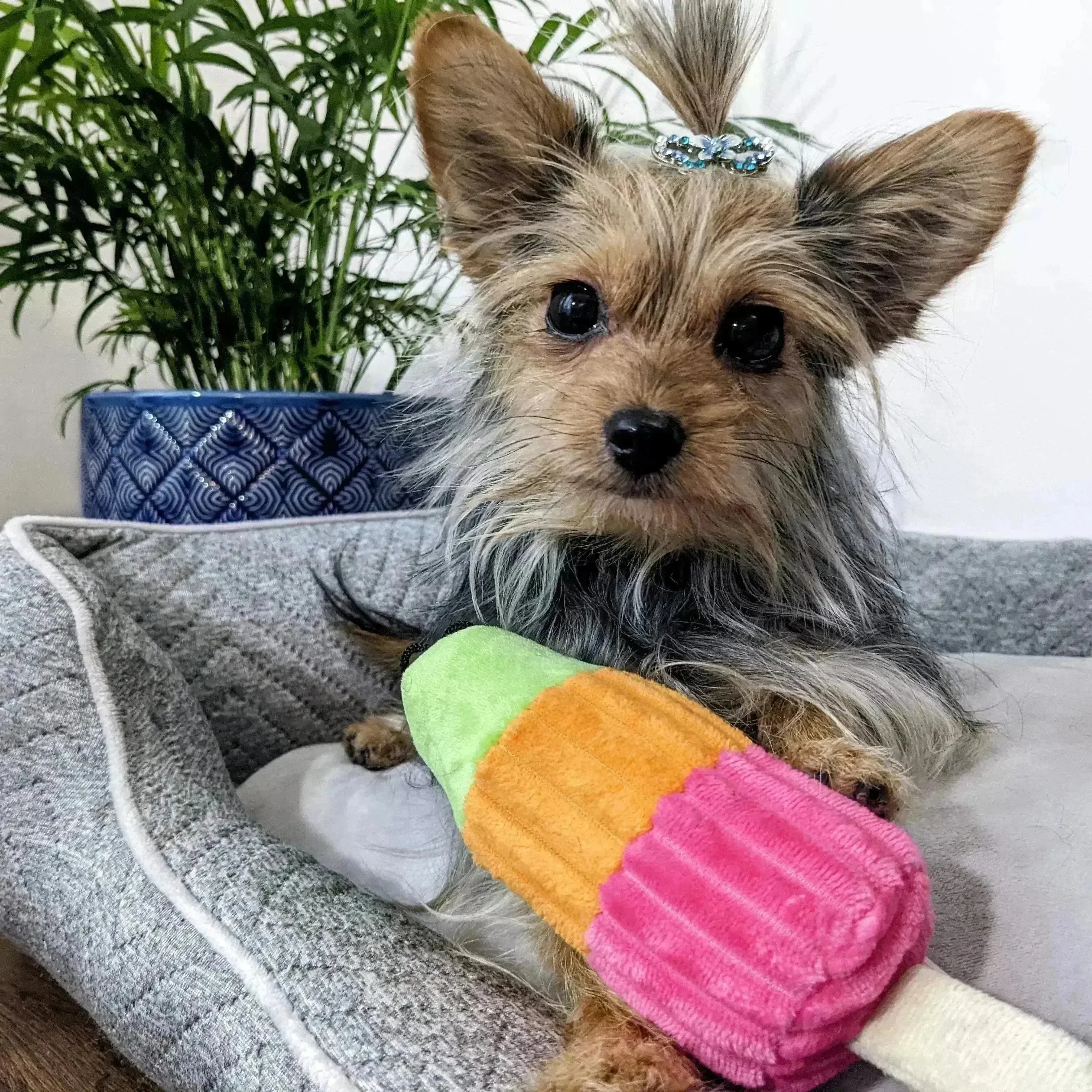 Lulubelle's Power Sherbert Pop - Image 2