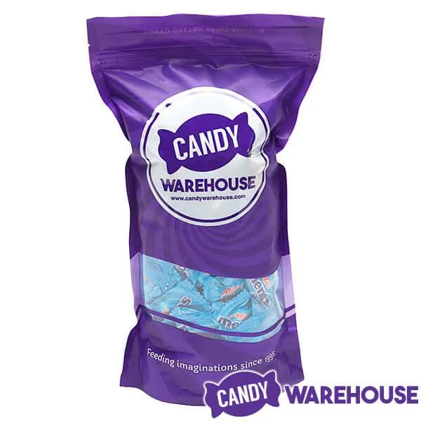 Mini Mentos Mint Candy Single Packs: 1LB Bag - Image 4