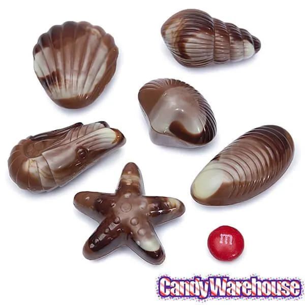Nautilus Belgian Chocolate Seashells: 18-Piece Box - Image 4