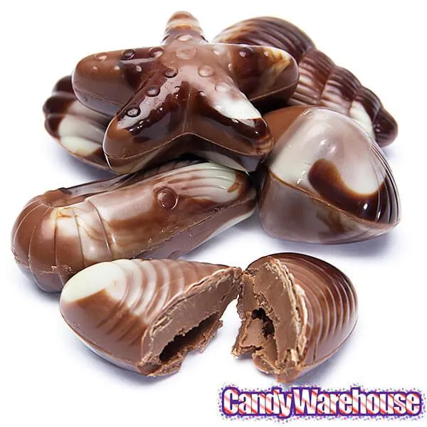 Nautilus Belgian Chocolate Seashells: 18-Piece Box - Image 5