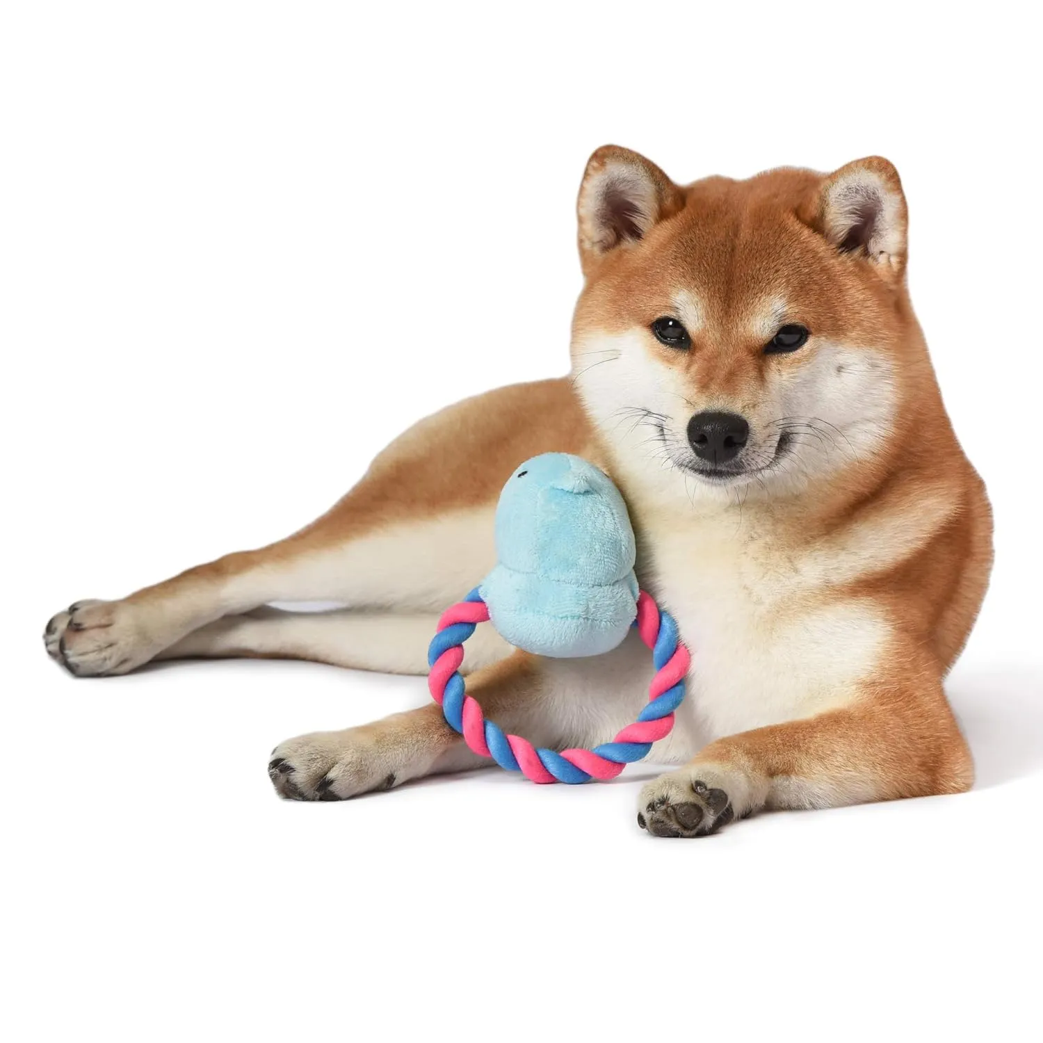 Peeps Blue Chick Rope Pull Toy - Image 4