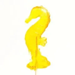 Pure Sugar Lollipop - Seahorse - Image 2