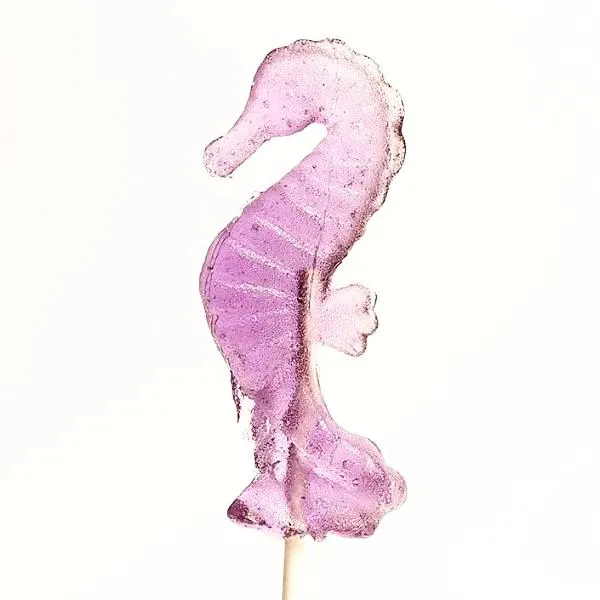 Pure Sugar Lollipop - Seahorse - Image 7