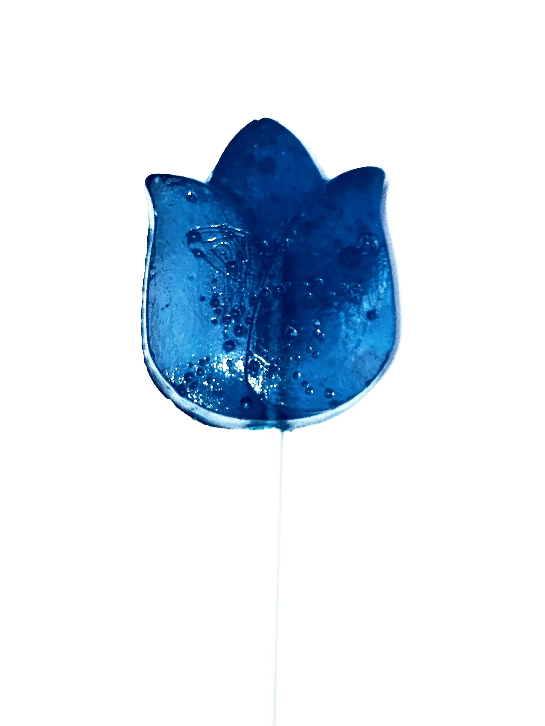 Pure Sugar Lollipop - Tulip - Image 3
