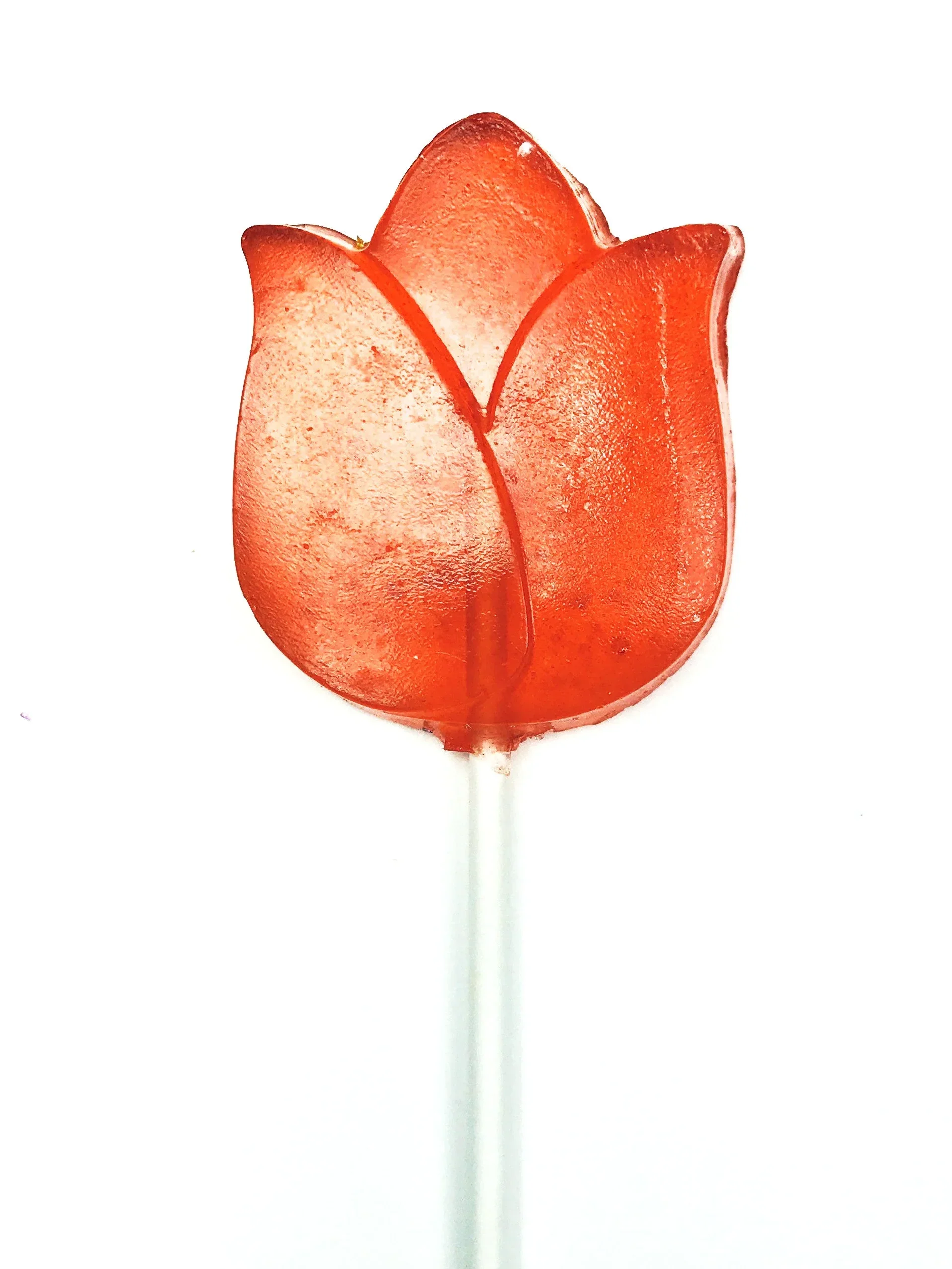 Pure Sugar Lollipop - Tulip - Image 7