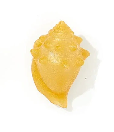 Pure Sugar Nautical Nirvana - Conch Shell