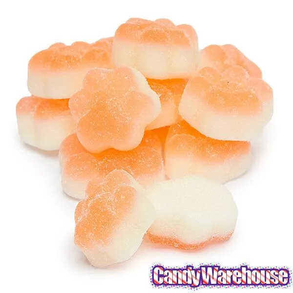 Senjaku Panda Paws Gummy Candy Packs - Apple: 6-Piece Box - Image 5