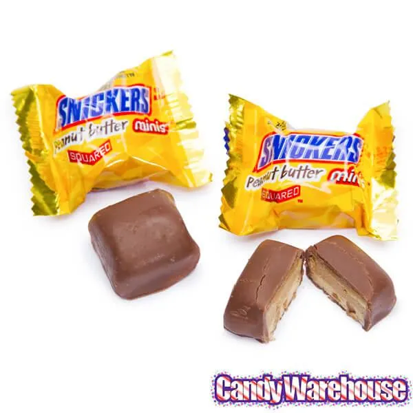Snickers Peanut Butter Squared Minis Candy: 11.5-Ounce Bag - Image 3