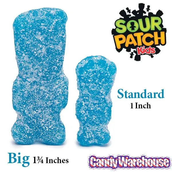 Sour Patch Kids Candy Treat Size Packs: 5LB Bag - Image 2