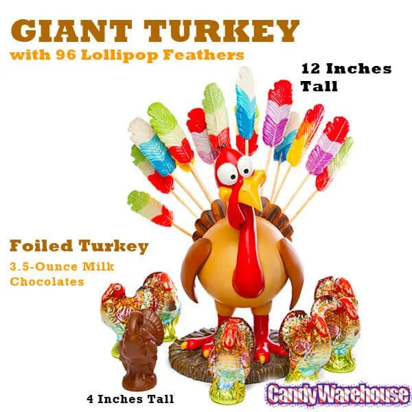 Squire Boone Giant Turkey with 96 Lollipop Feathers - Image 3